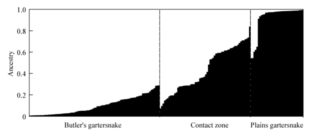 Gartersnake genetics, from Fitzpatrick et al. 2015.